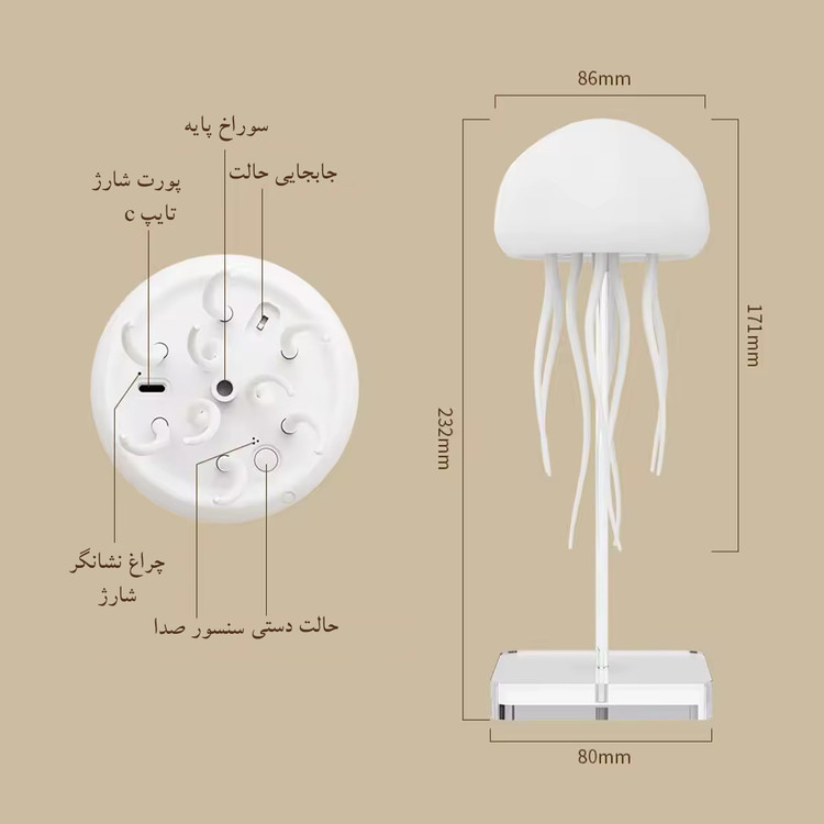 چراغ خواب عروس دریایی